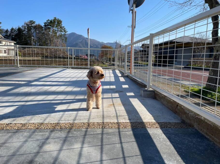 Mt. Fuji Kokoワンちゃんokの新築貸別荘 ฟูจิคาวากุจิโกะ ภายนอก รูปภาพ