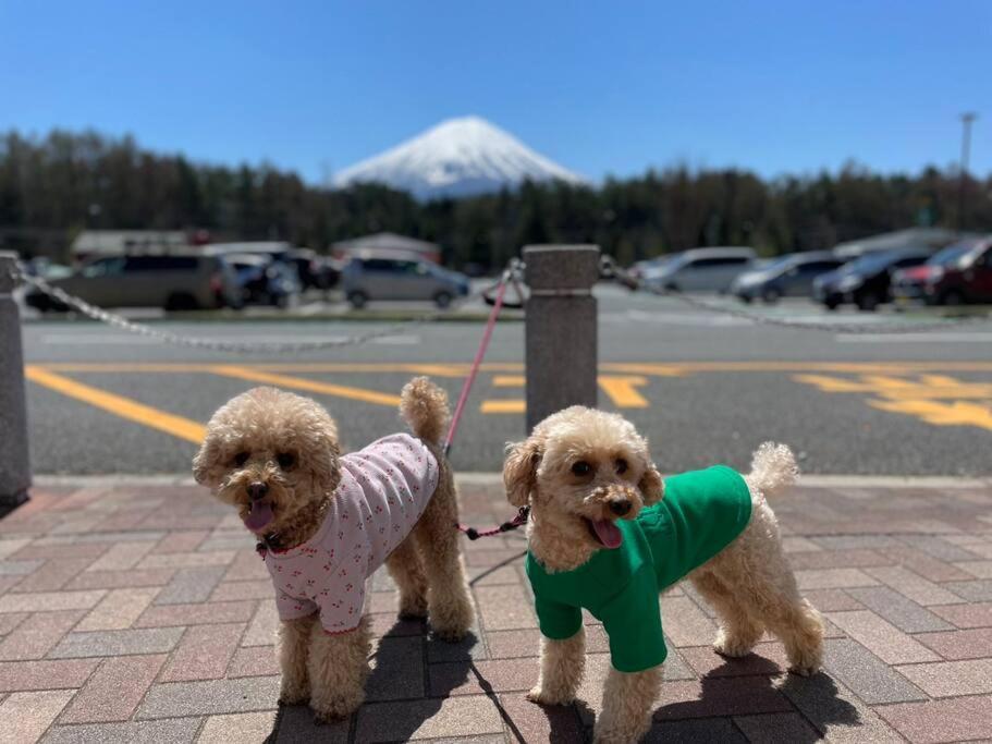 Mt. Fuji Kokoワンちゃんokの新築貸別荘 ฟูจิคาวากุจิโกะ ภายนอก รูปภาพ